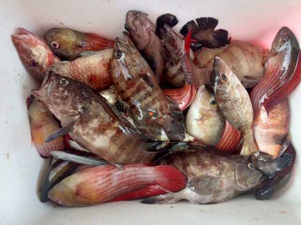 Private Nha Trang Fishing Trip With The Locals